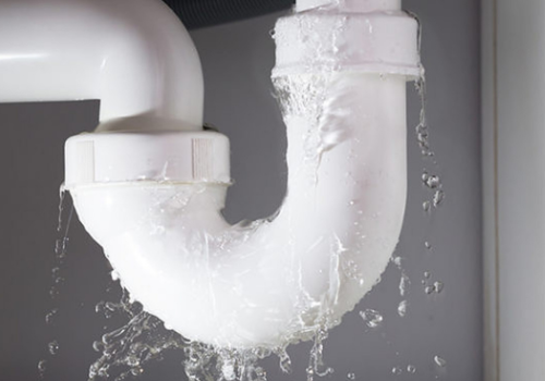 Untitled design (30) Untitled design (30)